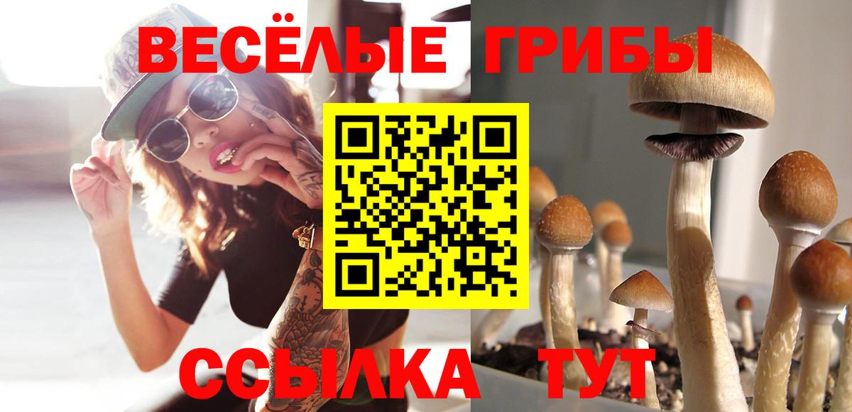 Галлюциногенные грибы MAGIC MUSHROOMS Ангарск